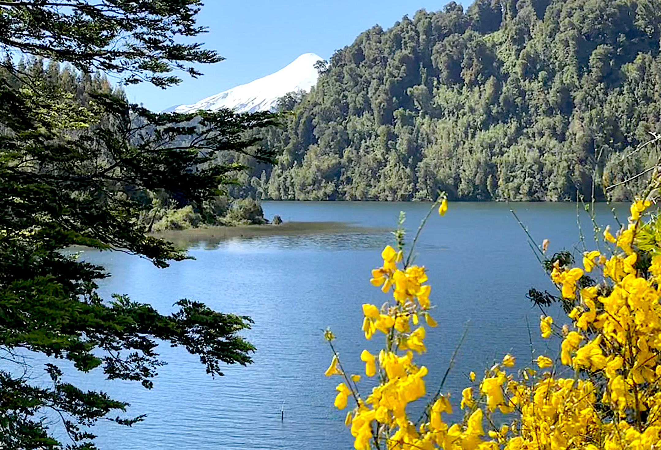 Sesiones de Coaching con Gian Antes del Despertar